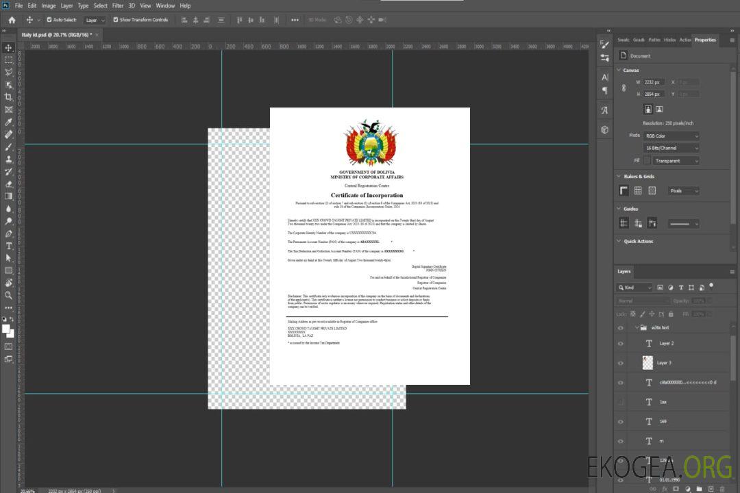 Modèle Word et PDF de certificat d'enregistrement en Bolivie template